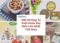 TOP 10 Công Ty Xuất Khẩu Hạt Điều Lớn Nhất Việt Nam
