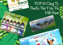 TOP 10 Công Ty Thuốc Thú Y Uy Tín Việt Nam