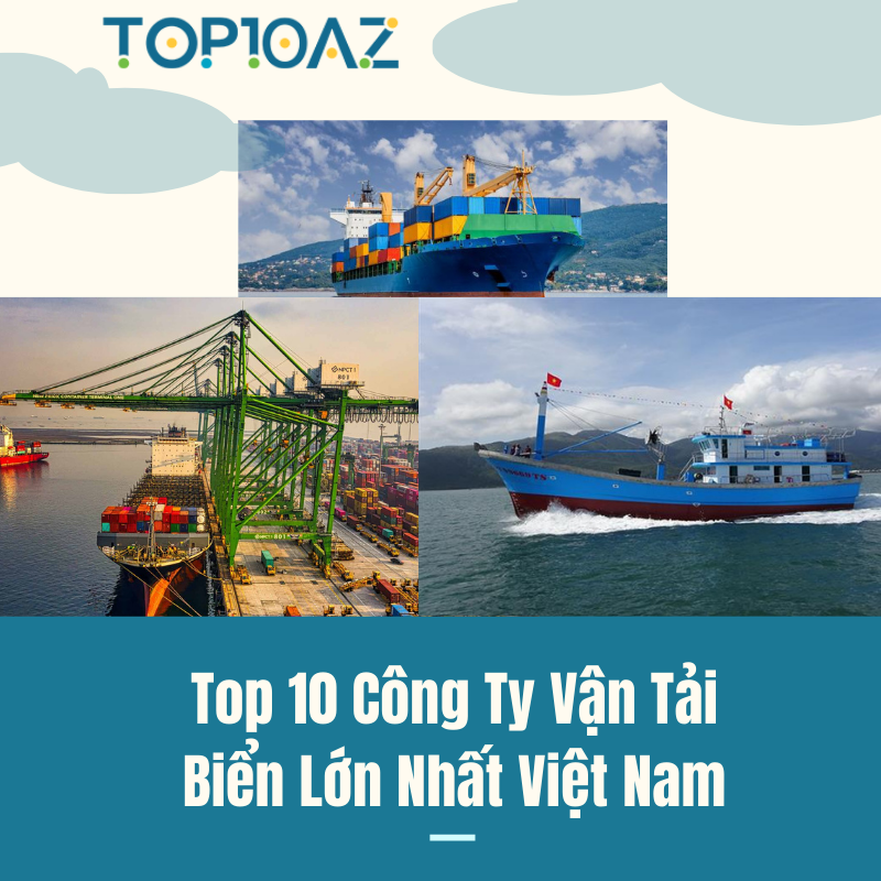 Top 10 Công Ty Vận Tải Biển Lớn Nhất Việt Nam - TOP10AZ