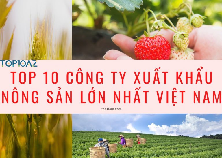 TOP 10 công ty xuất khẩu nông sản lớn nhất Việt Nam