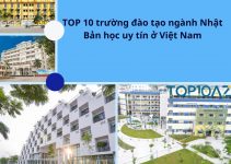 TOP 10 trường đào tạo ngành Nhật Bản học uy tín ở Việt Nam